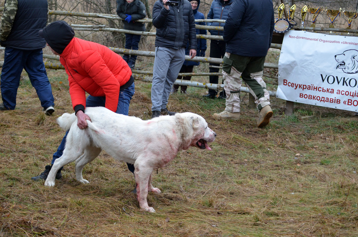 Шаман - Монгол 2 (8)