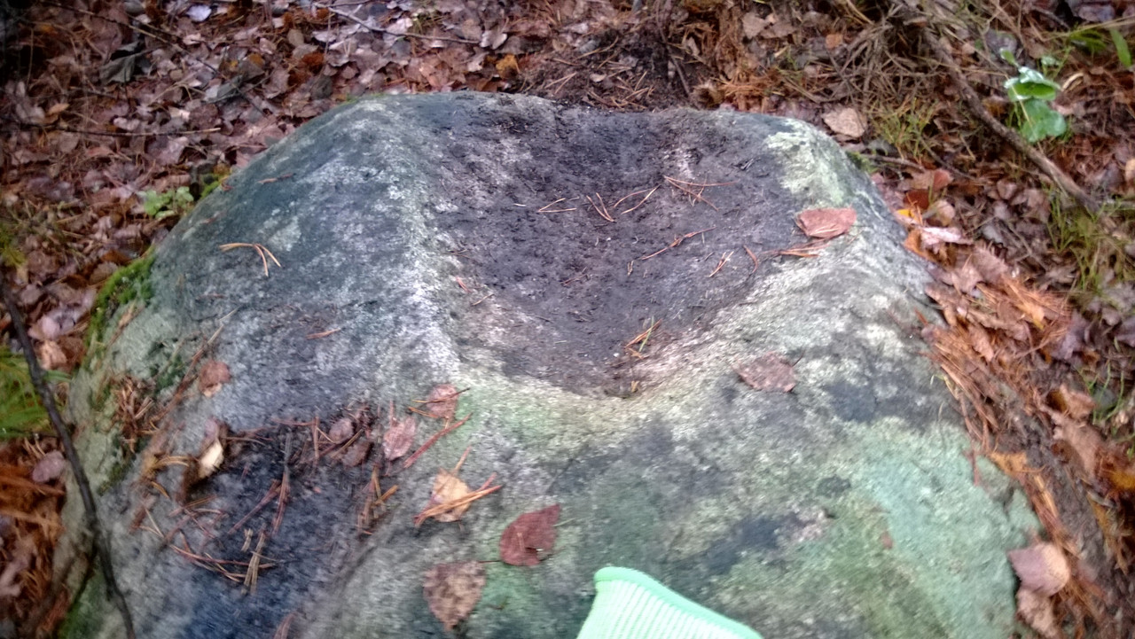 WP_20151119_003