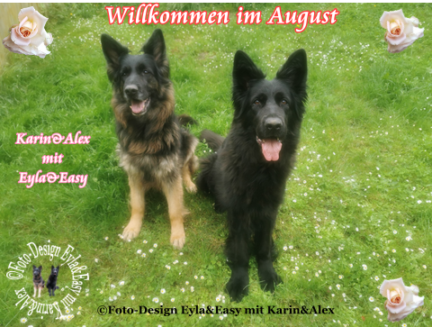 An den Beitrag angehängtes Bild: https://i.postimg.cc/yY1B32w6/GB-August.png
