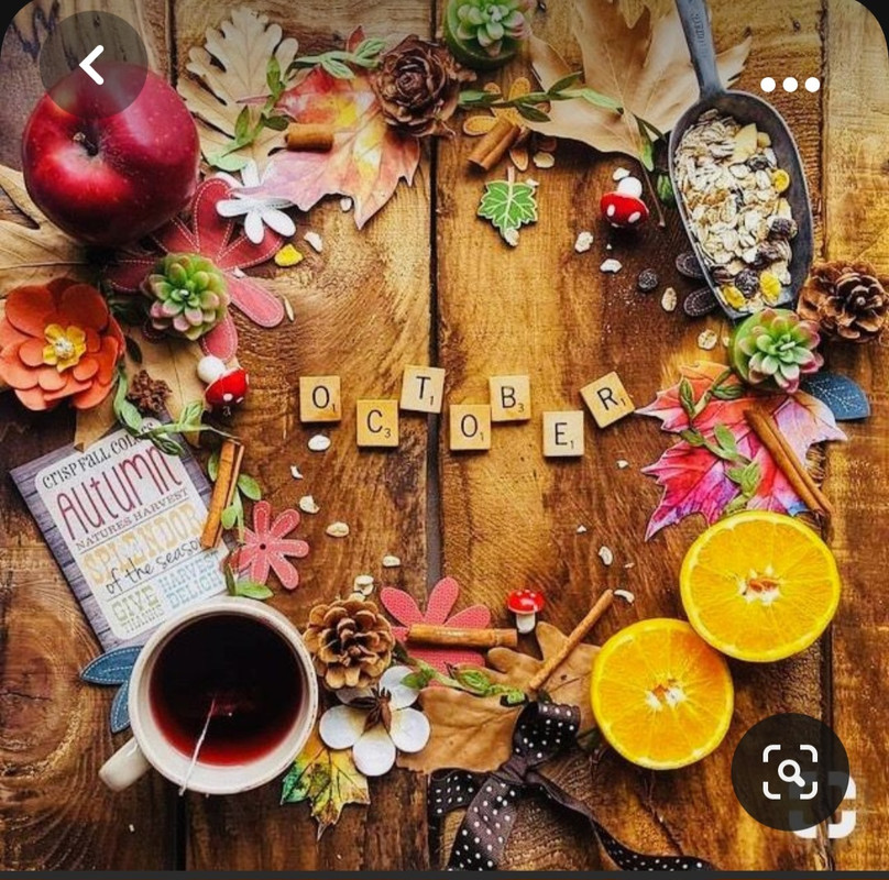 Screenshot_20230930_160152_Pinterest