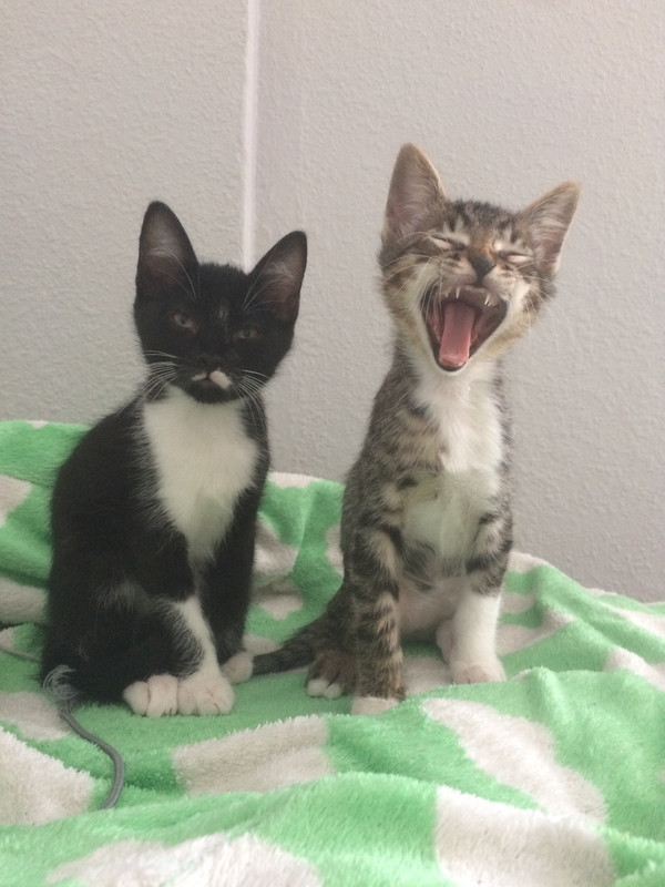 014c20b5c96dc28781066c8ea029ec3b60b53e0ae2