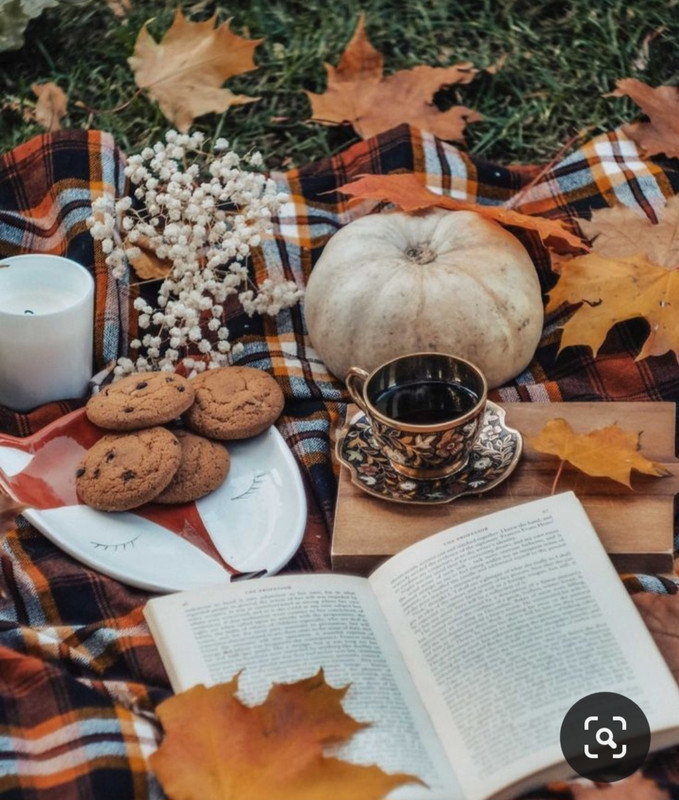 Screenshot_20231015_211007_Pinterest