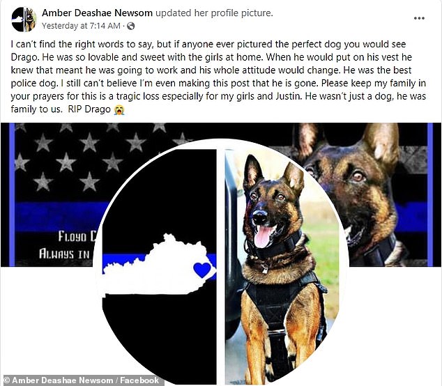 59788553-10975719-image-a-86-1656777143373