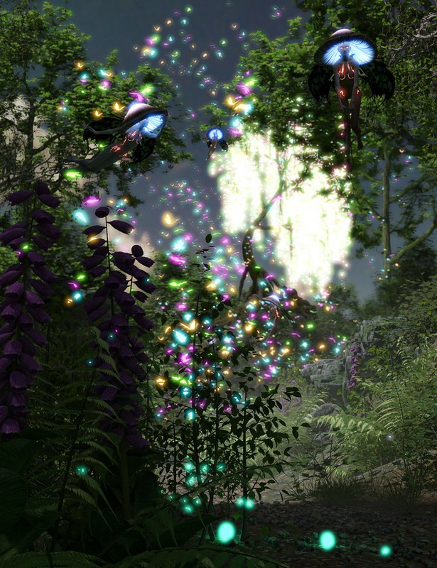 Enchanted Wood - A Fairy Habitat