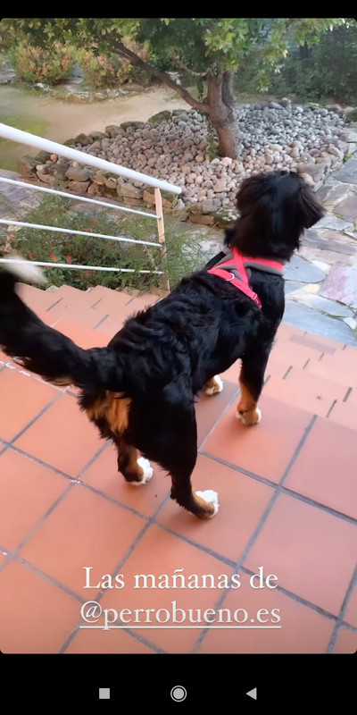 Screenshot_2021-03-15-12-36-53-175_com.instagram.android