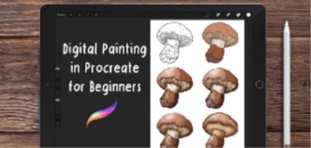 Digital Painting in Procreate for Beginners