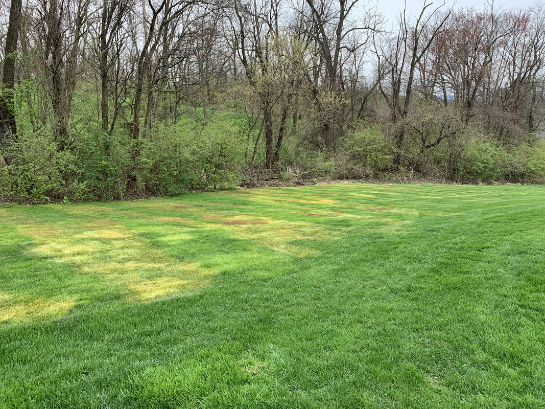 Photo Apr 14, 5 33 05 PM