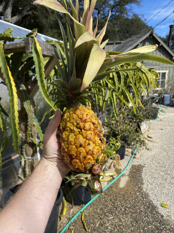 9205A66B-F436-4704-9992-A1A3B47F645C