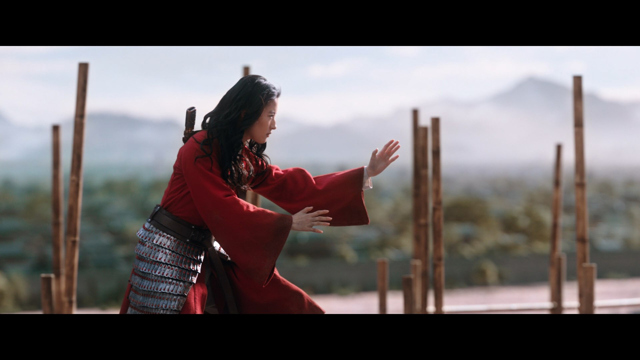 Mulan-2020-1080p-Blu-Ray-Remux-AVC-DTS-HD-MA-71-HDT-SV-TM-mkv-snapshot-01-32-54-250.jpg