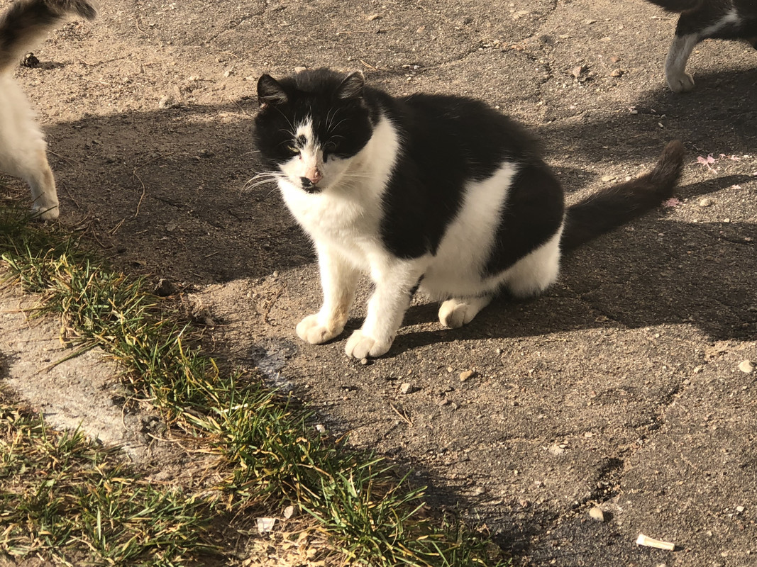 0D460EE0-BFAE-49AA-B618-8DF63C38EE2C