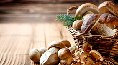 Club Academy - Corso funghi - Ita