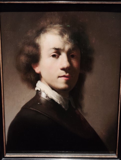 Escapada por Amsterdam - La Haya - Delft - Rotterdam - Leiden - Londres - Blogs de Europa - Museo Mauritshuis, decepcionante Depot Boijmans y callejeo por Delft y Leiden (45)