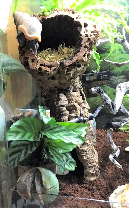 51F8F043-4CCD-4516-848F-7A7EE0D87D61