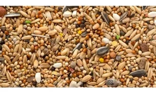 COMIDA PARA PAJAROS MEZCLA KG
