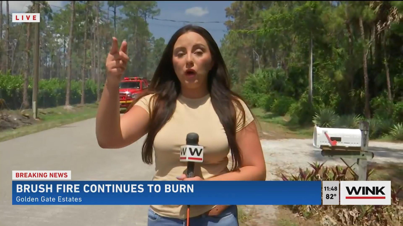 05.23 - 16.30.00 - WINK News @ 11 30AM. Local news, sports and weathe....ts_snapshot_15.42_[2021.05.