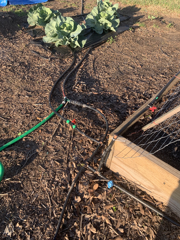 AB3A922C-C9D5-49B3-A2BE-2BC2DEE2678B