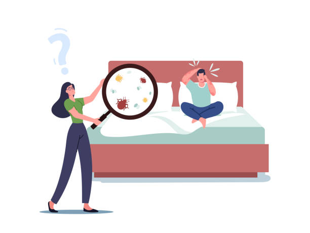 Bed-Bug-4.jpg