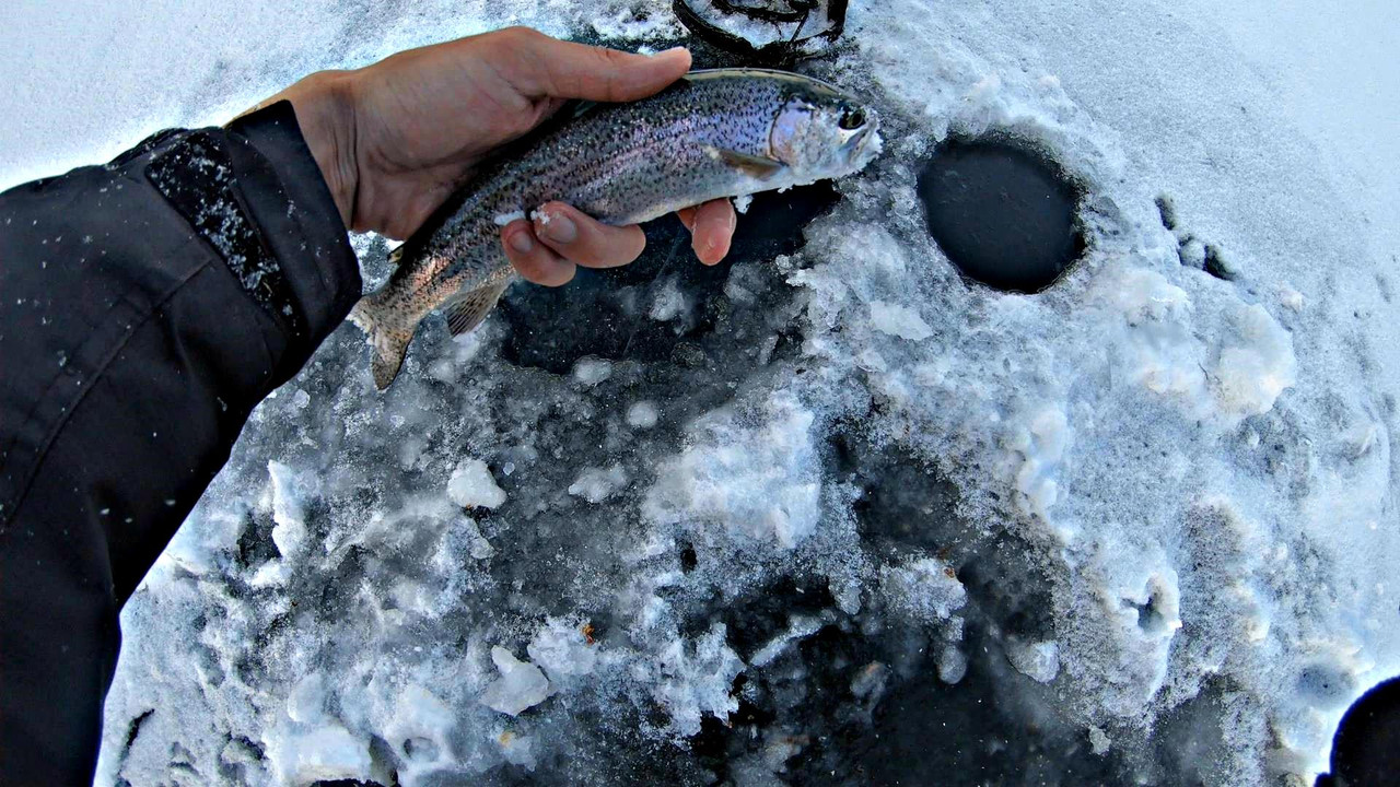 FirstIce3