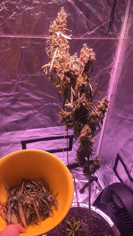 291C8455-6763-4864-A8AE-708B15770E91