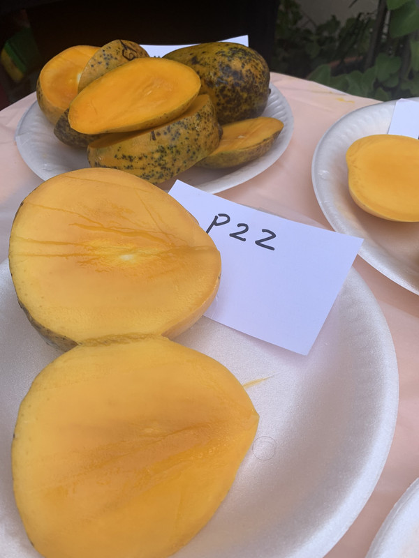 1AA6735E-77CB-4674-B8D0-44ADDF924892