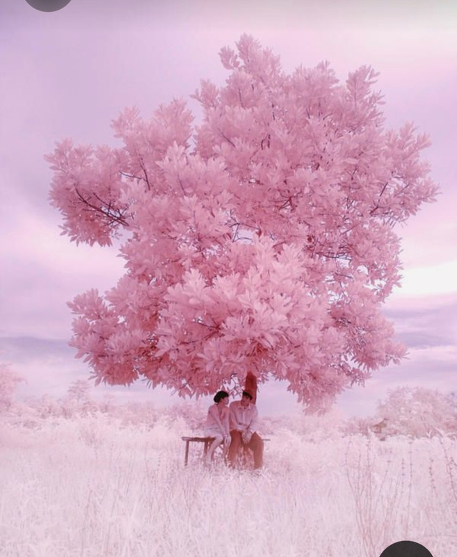 Screenshot_20230816_235212_Pinterest