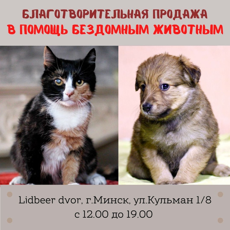 Добавить подзаголовок