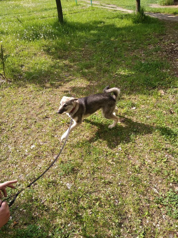 Дженни_05_18_8