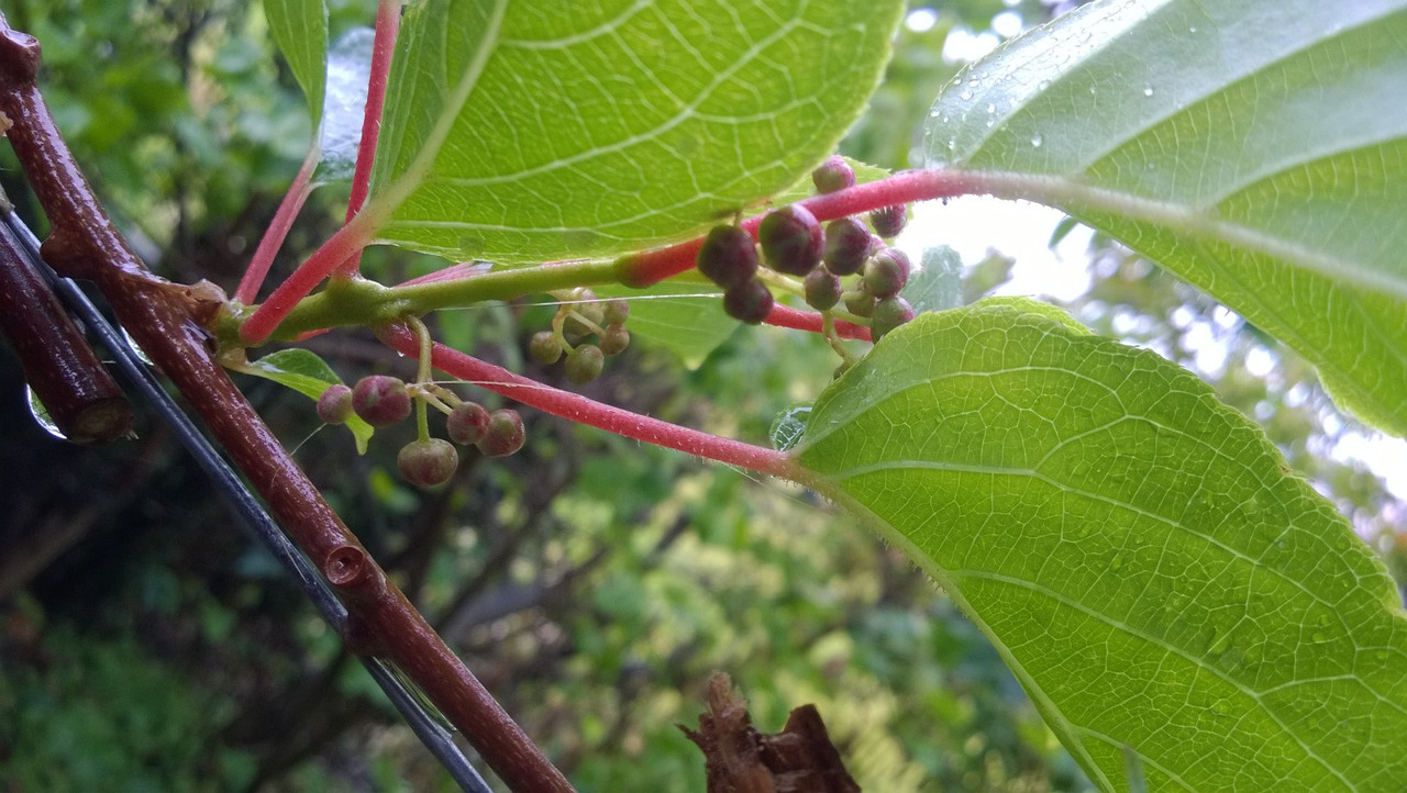 WP_20160414_005