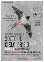 sottoilcielogrigio.jpg