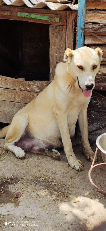 F7FC3438-A34F-4510-A6F3-9B8B7ED61626