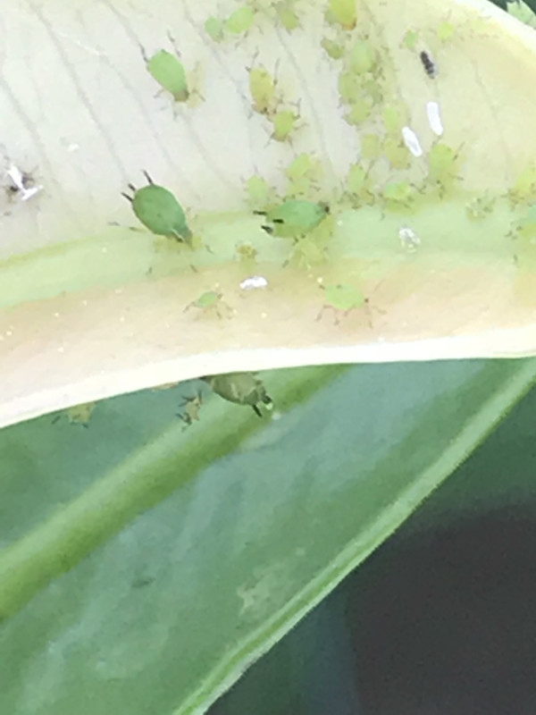 6814B983-F1B3-4CD1-BCEE-4C2136FED2EC