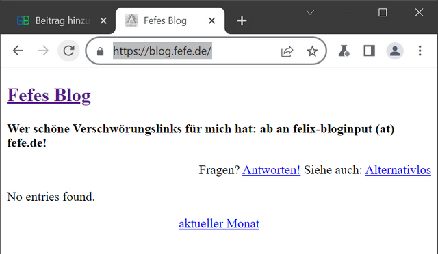 FeFes Blog