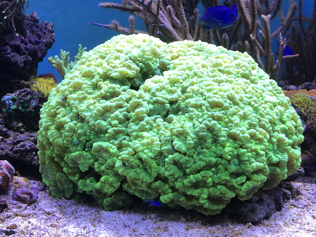 19209096-C360-48FE-A1DE-5BCE63337049