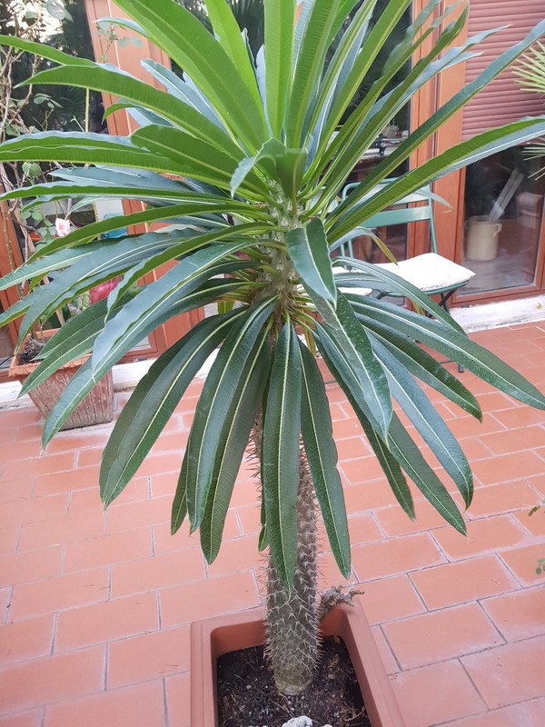 20250821_194750_resized