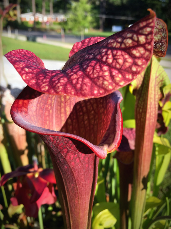 0A40575B-5593-43DF-AFD7-77EA049B7EFC