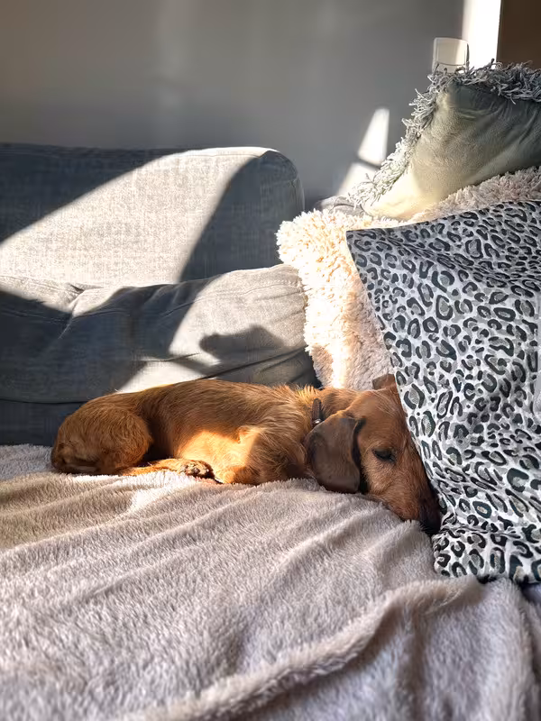 [Image: IMG-20250906-190051.avif]