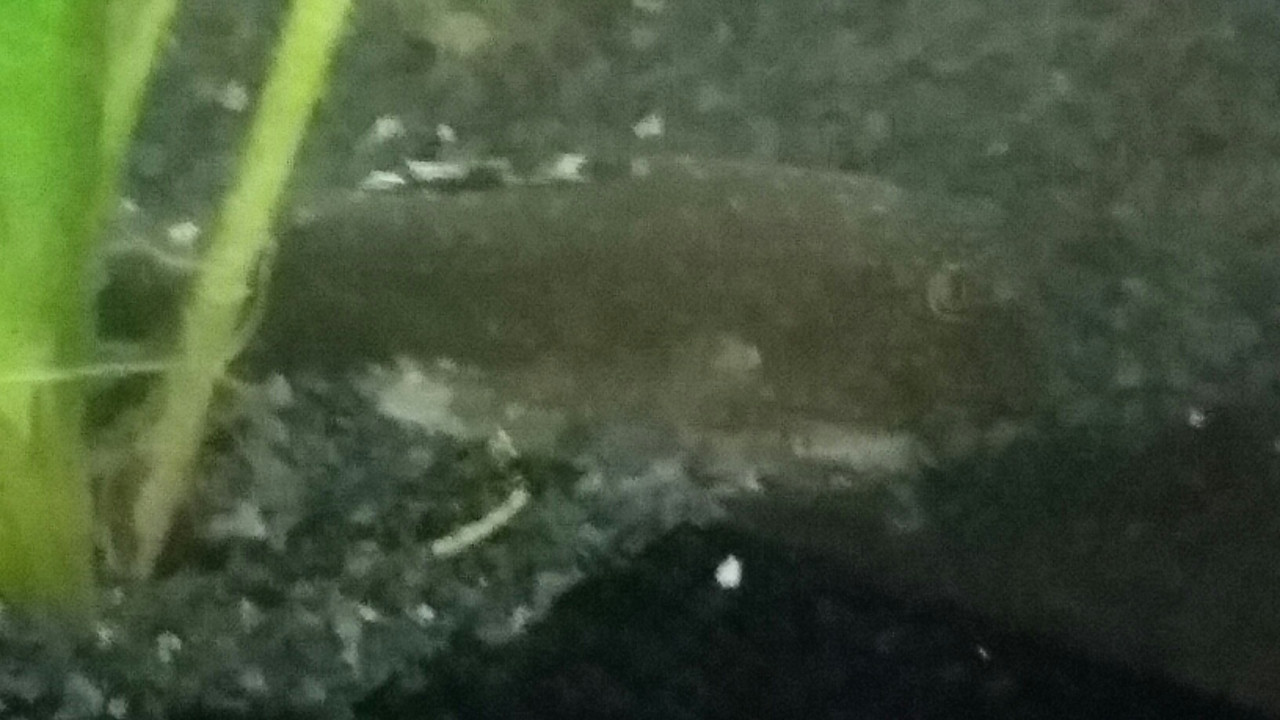 20161212_195252_1481572389153_resized