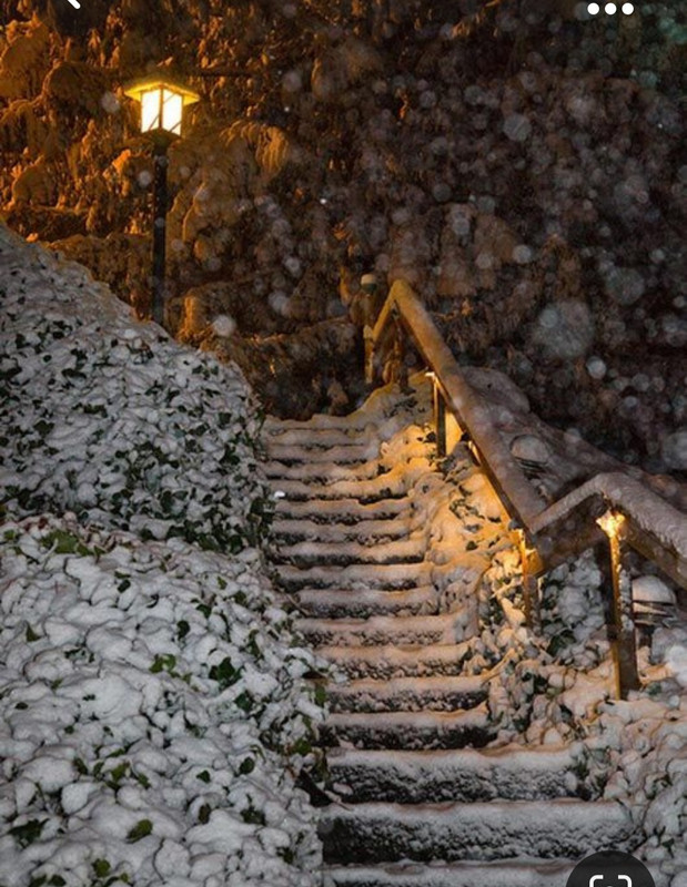 Screenshot_20231024_184637_Pinterest