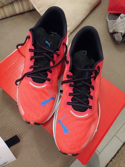 IMG_20231210_170837867