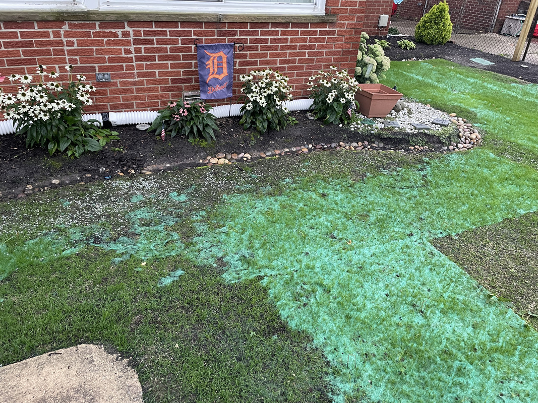 929A9182-DEEA-464B-B485-FDFCCF6B1B7E