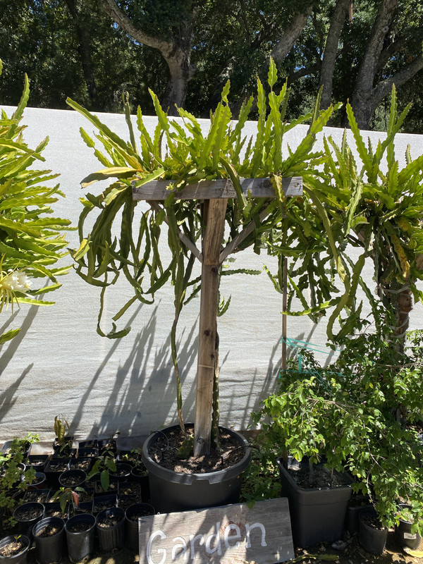 49F333DF-3A60-4A79-8F71-92C978B56F20