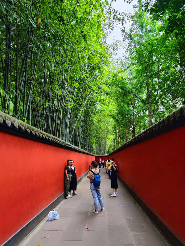 IMG_20230523_153113_副本