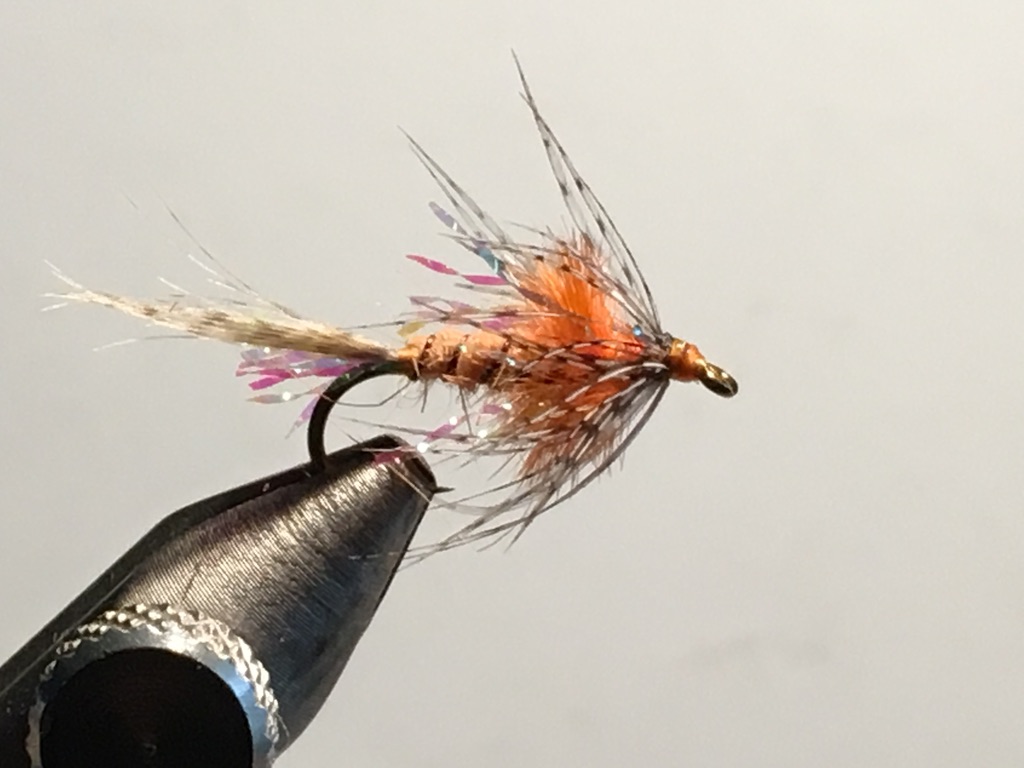 Shakey Bealy Soft Hackle - 01
