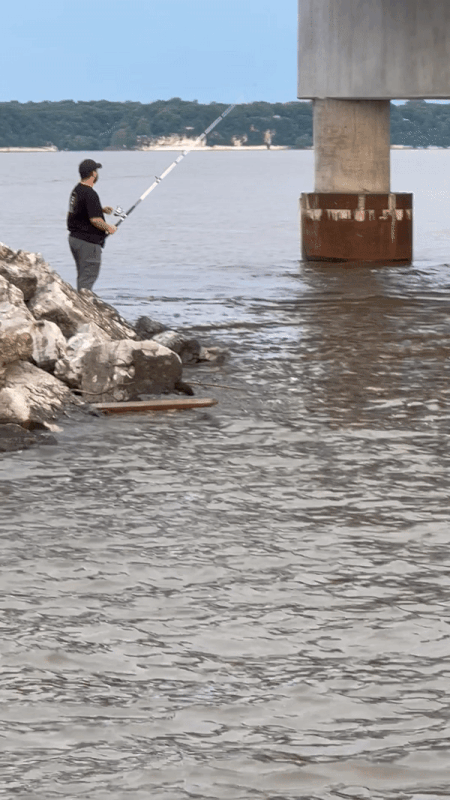 48BD8749-378F-458C-9F08-3890E65F6EBE