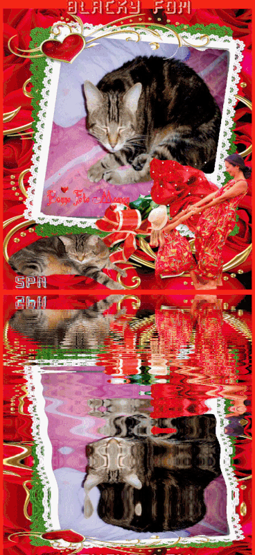 BLACKY-FDM-GIF