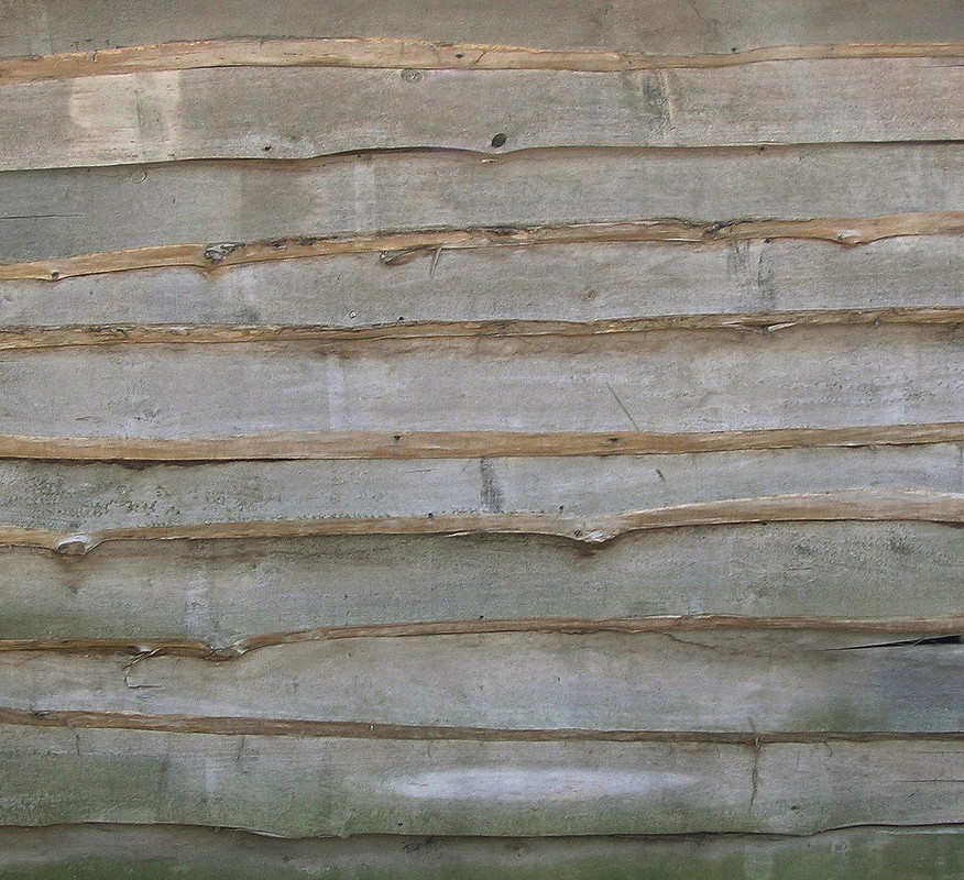 wood-texture-3dsmax-179