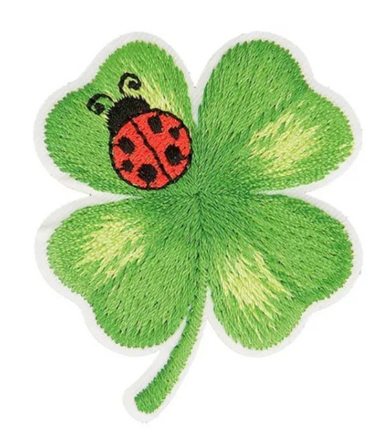 [Image: 70-FD5836-89-A5-40-D1-A216-C98155-E4-B9-DC.jpg]