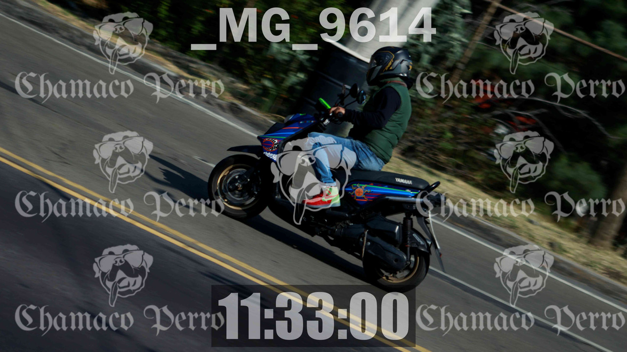 MUESTRA MG 9614 — Postimages