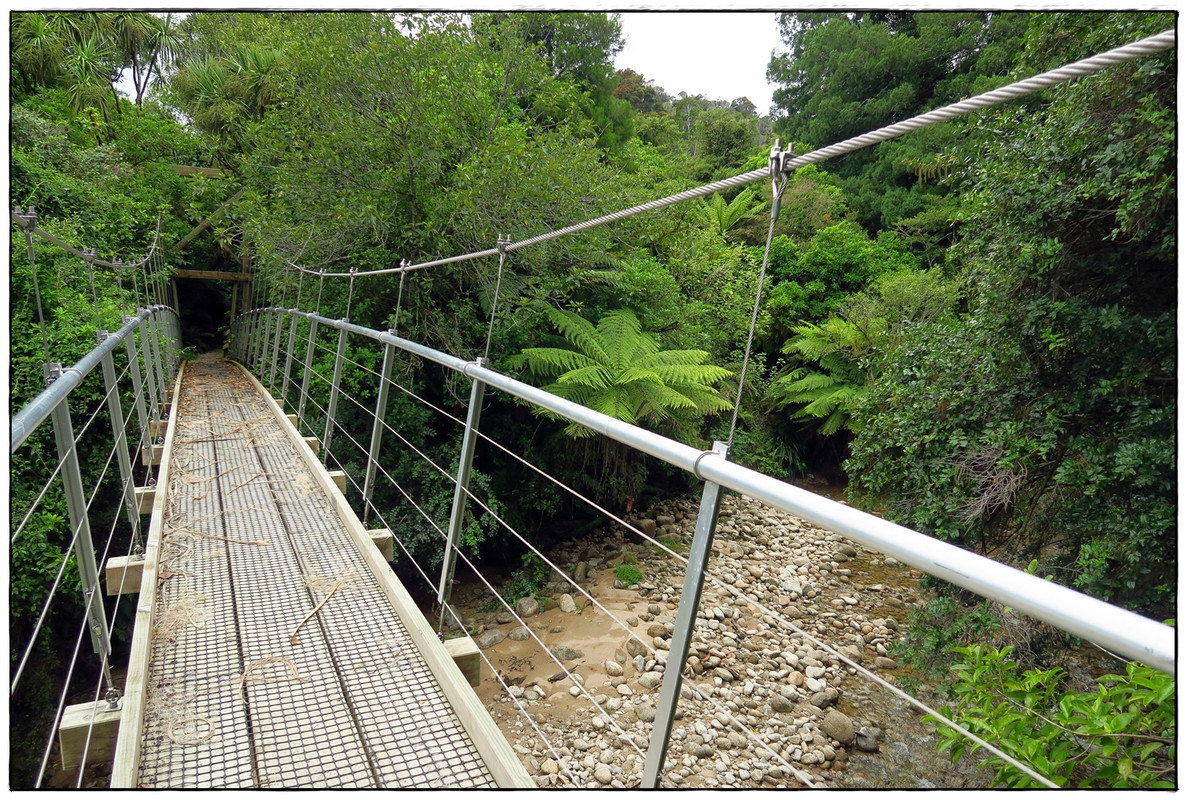 Escapadas y rutas por la Nueva Zelanda menos conocida - Blogs de Nueva Zelanda - Kahurangi NP: Heaphy Track (Navidad 2020, III) (34)