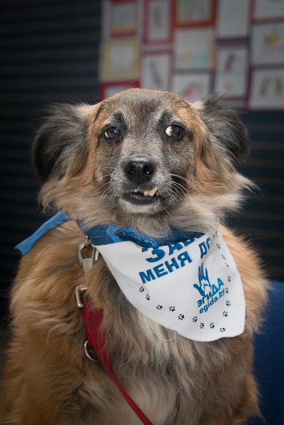 ABC5CA8F-C6DD-4C86-88F9-6B1B8D14F3E6